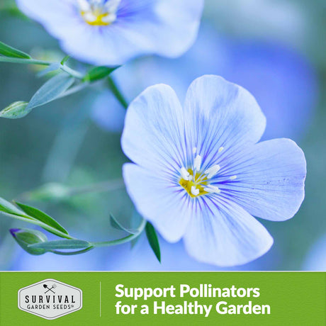 Support pollinators for a healthy garden