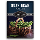 1 packet of Blue Lake Bush Bean seeds