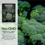 Non-GMO Broccoli seeds