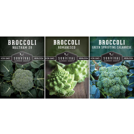 Broccoli Seed Collection