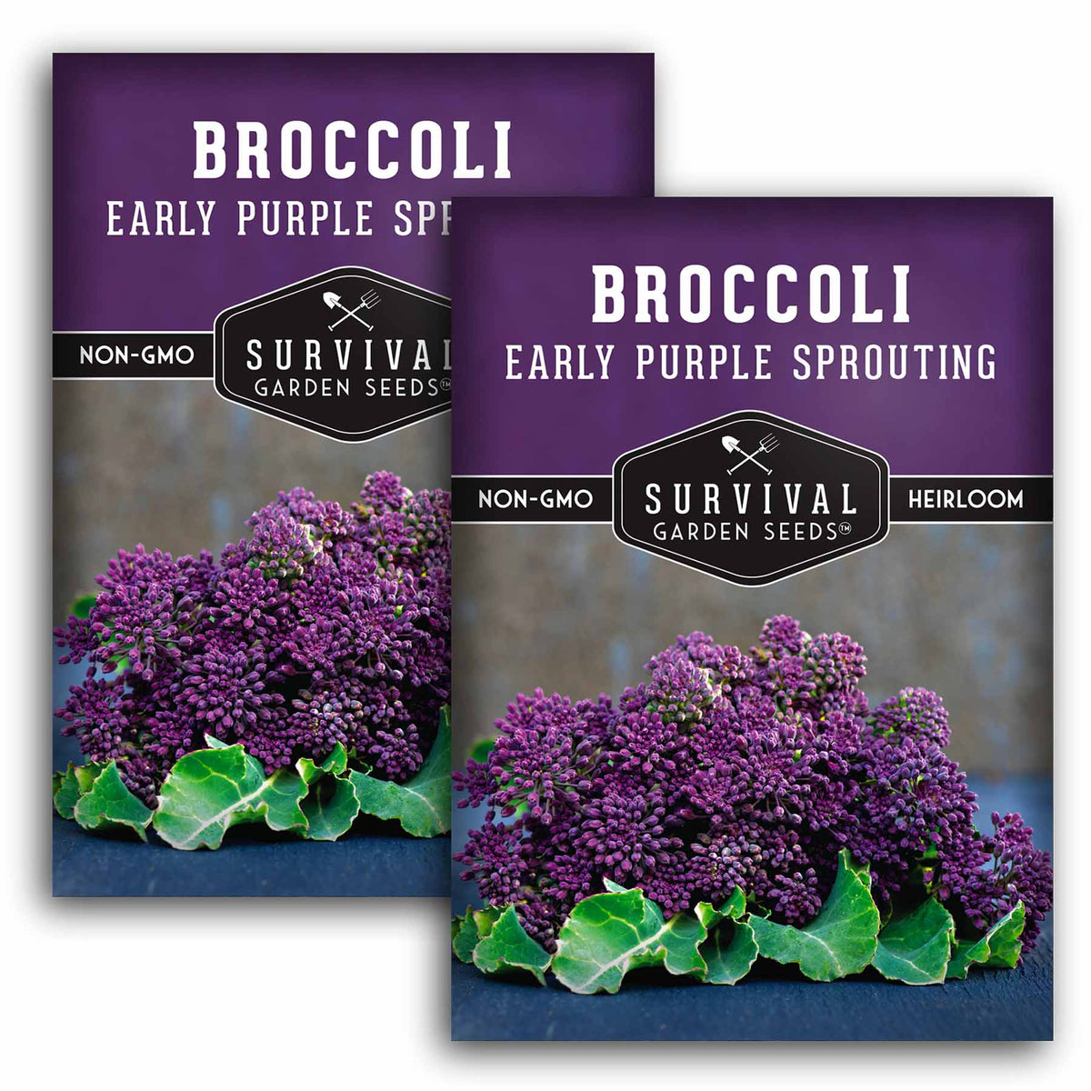 2 packets of Early Purple Sprouting Broccoli seeds