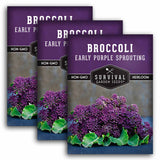 3 packets of Early Purple Sprouting Broccoli seeds