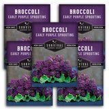 5 packets of Early Purple Sprouting Broccoli seeds