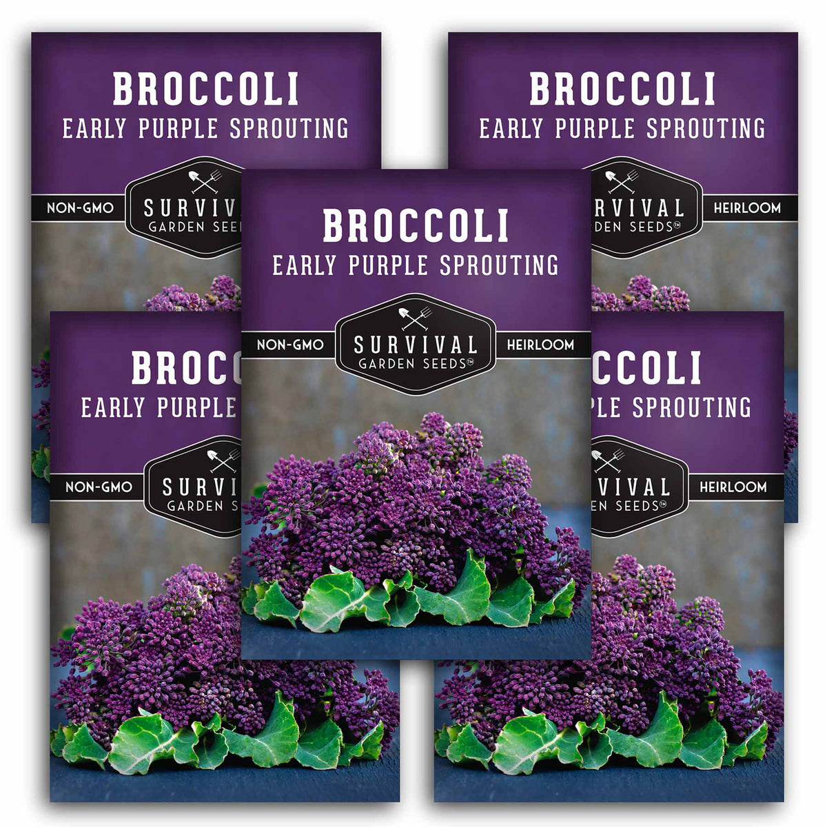 5 packets of Early Purple Sprouting Broccoli seeds