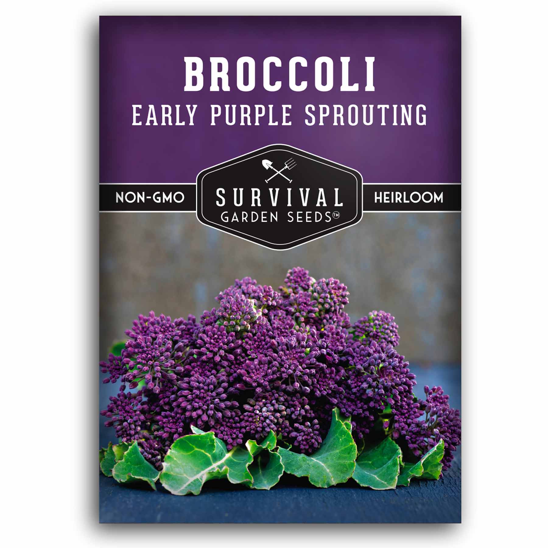 Early Purple Sprouting Broccoli Seeds