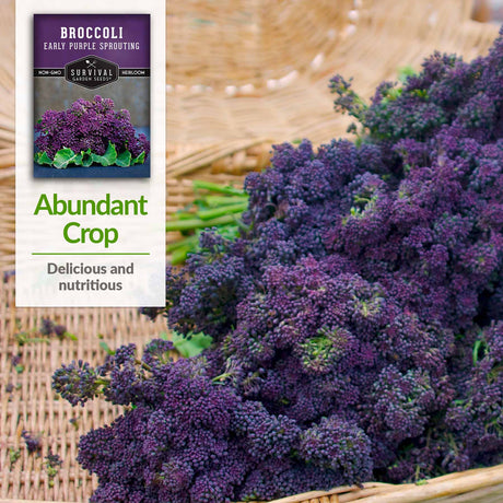 Abundant Crop - Delicious and nutritious