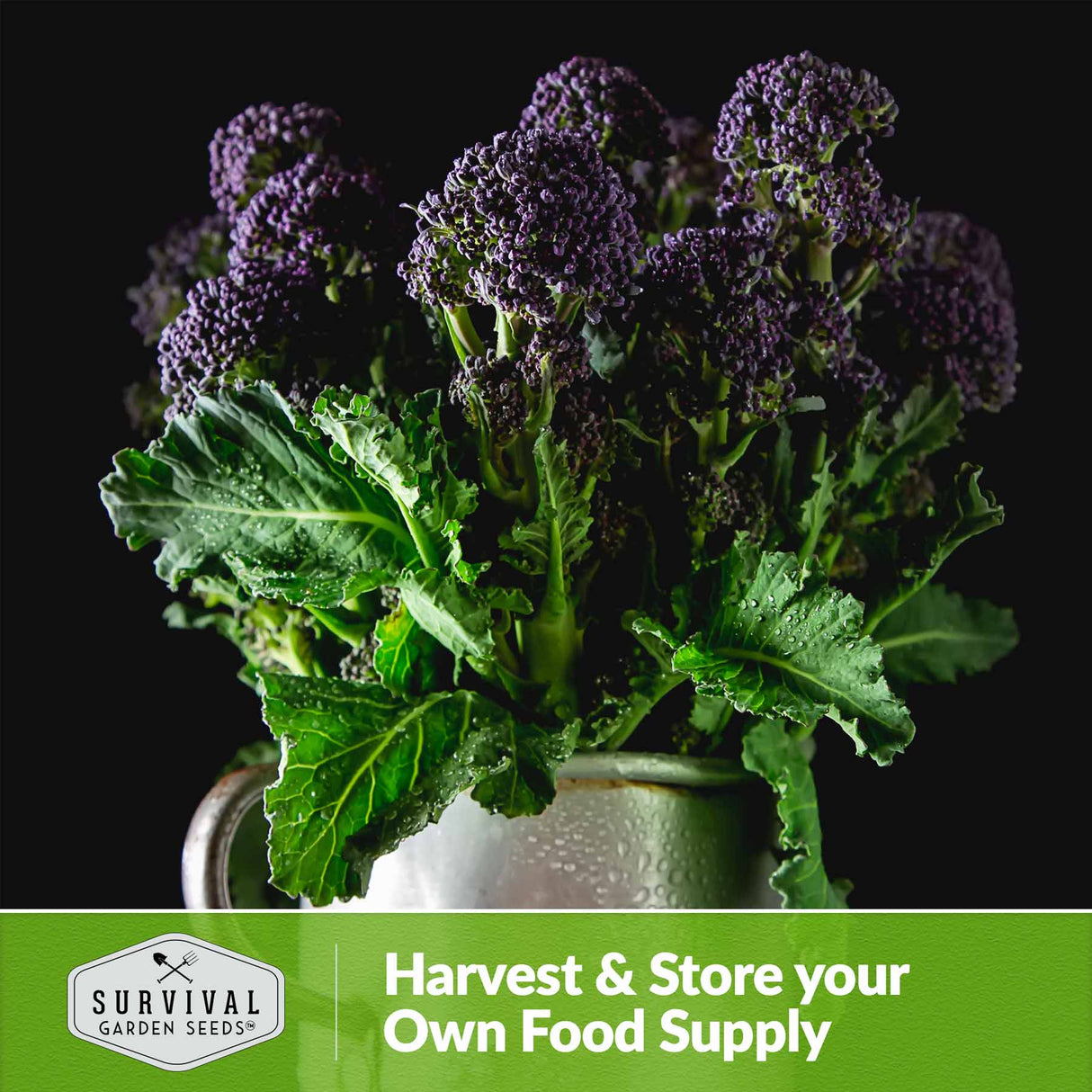 Harvest and store your own food supply