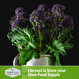 Harvest and store your own food supply