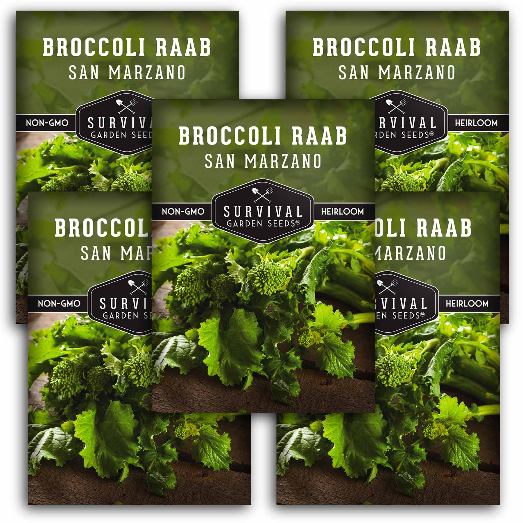 San Marzano Broccoli Raab Seeds - Rapini - SurvivalGardenSeeds