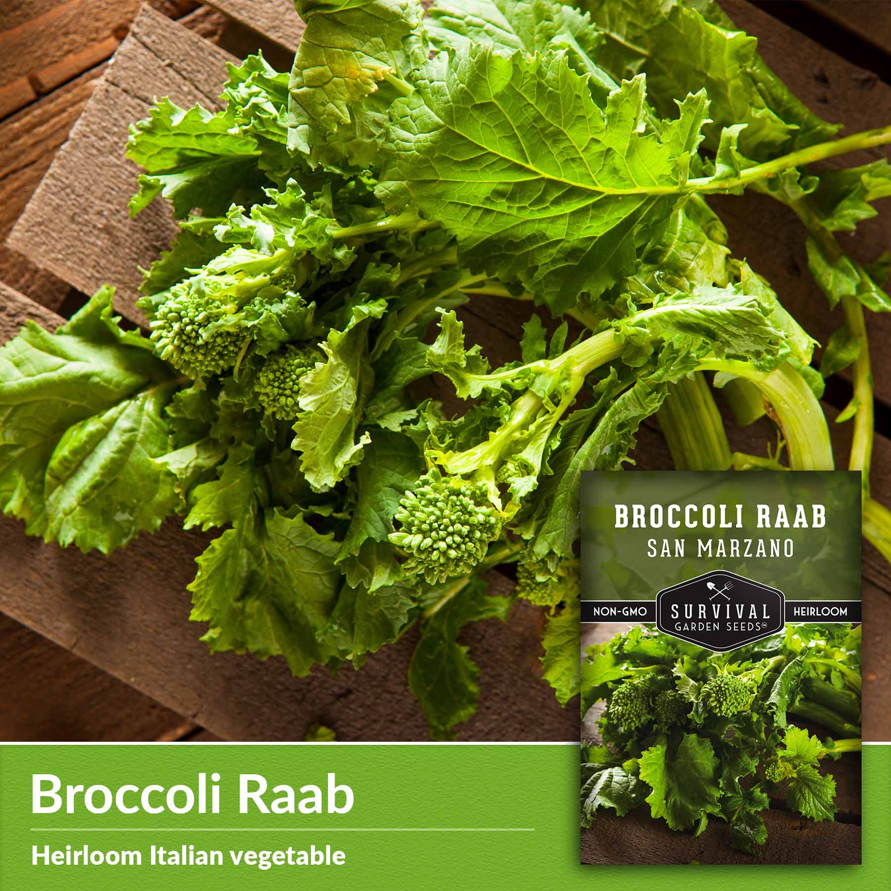 San Marzano Broccoli Raab Seeds - Rapini - SurvivalGardenSeeds