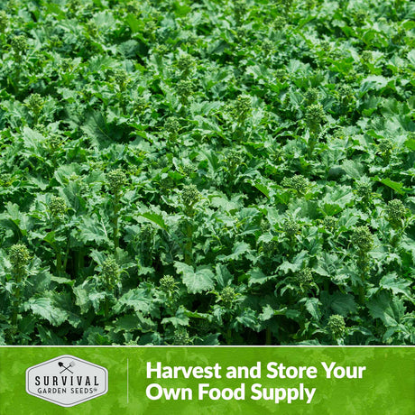 Harvest and store your own food supply