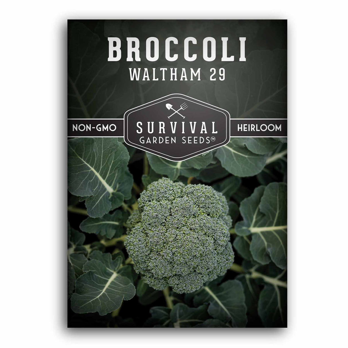 Waltham 29 Broccoli seeds