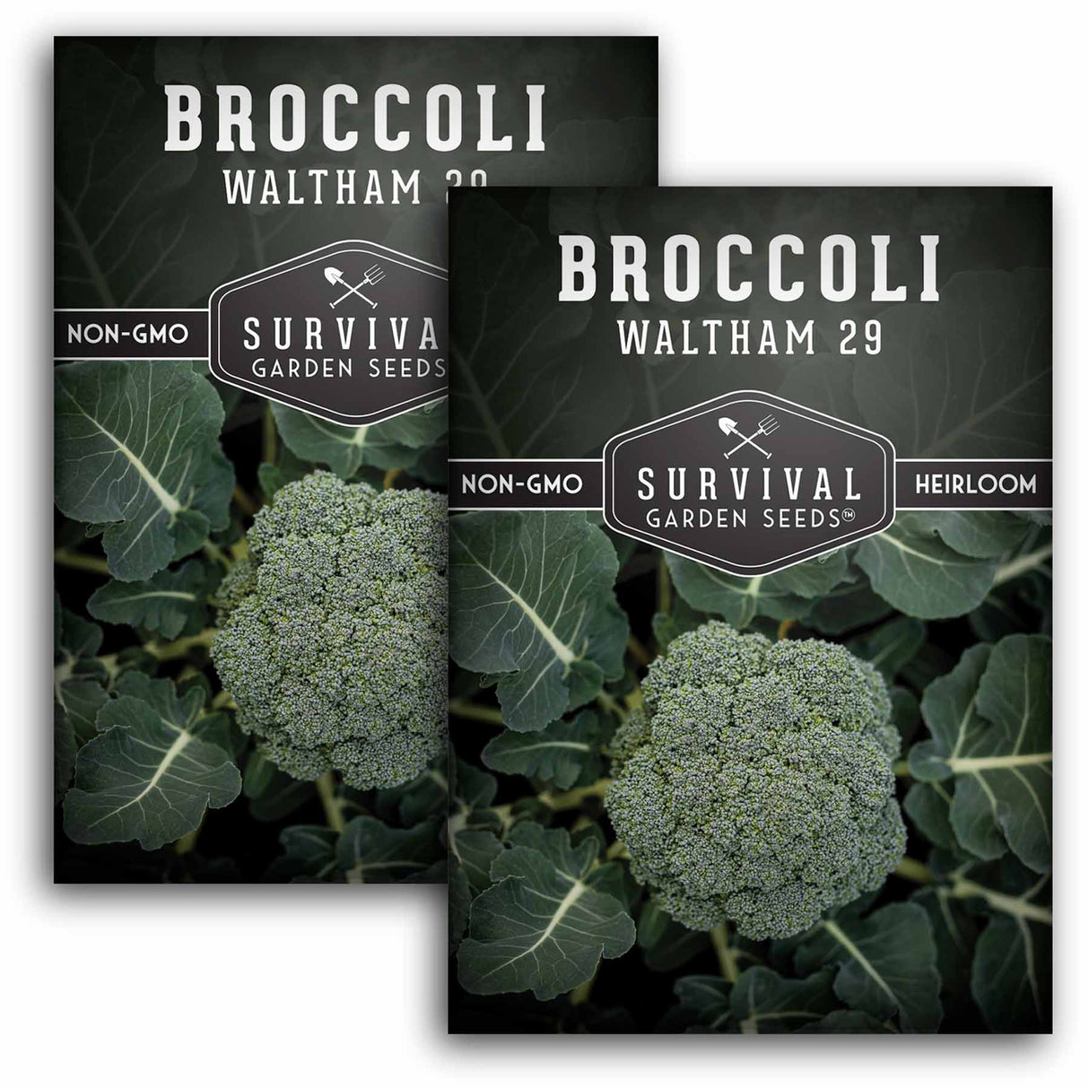 2 packets of Waltham 29 Broccoli seeds