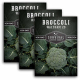 3 packets of Waltham 29 Broccoli seeds