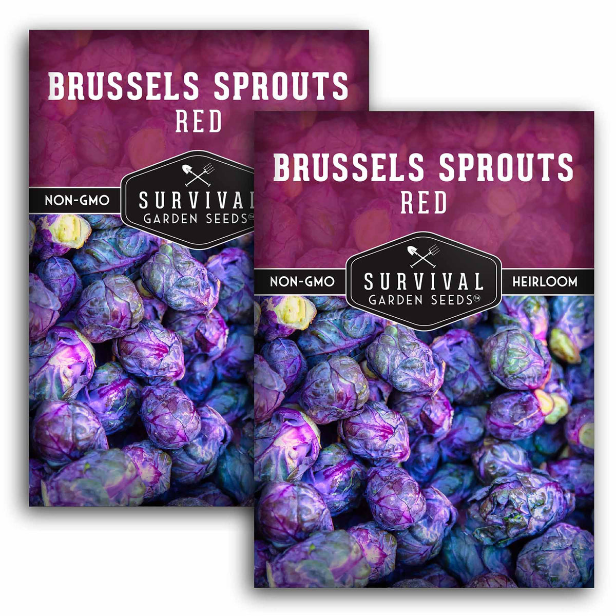 2 packets of Red Brussels Spouts seeds