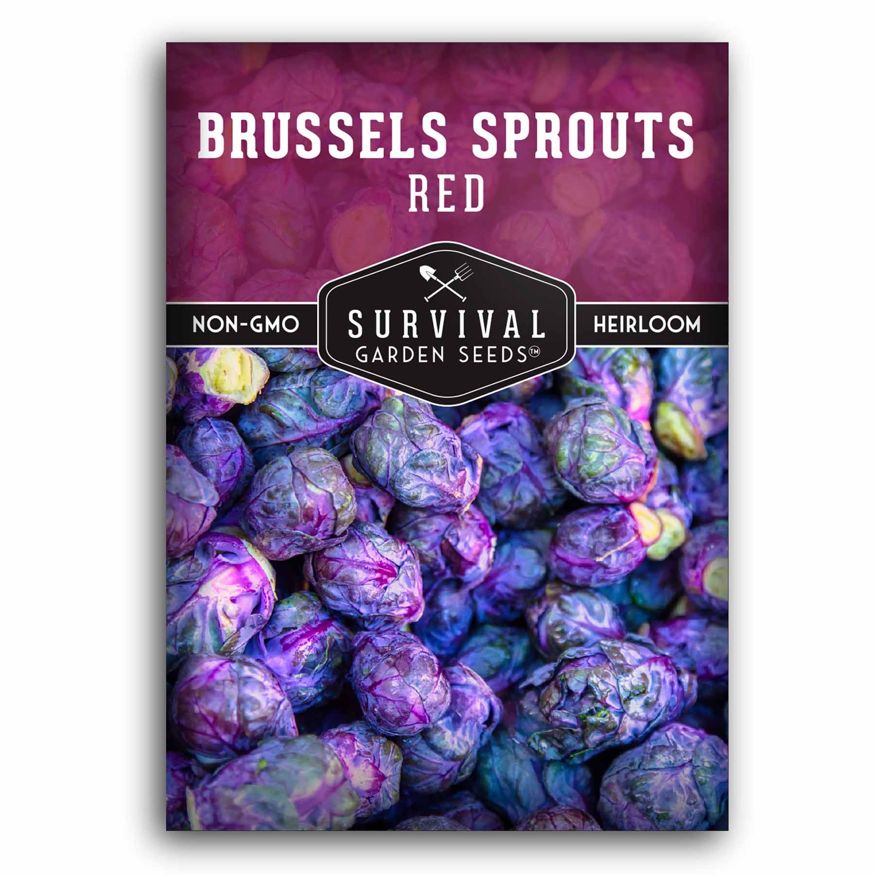 Red Brussels Sprouts Seeds