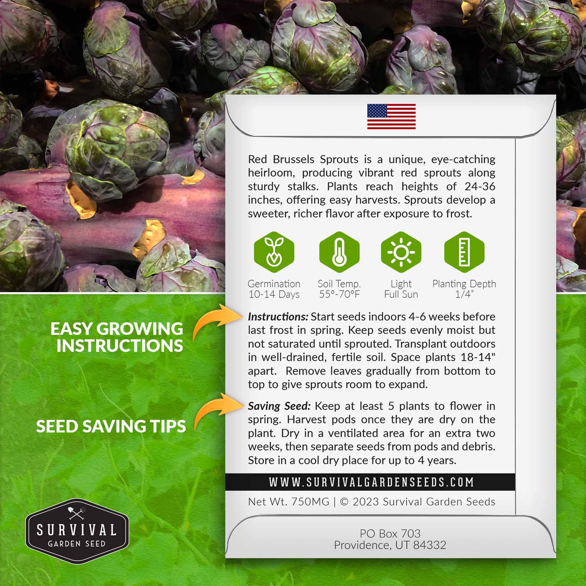Red Brussels Sprouts growing instructions