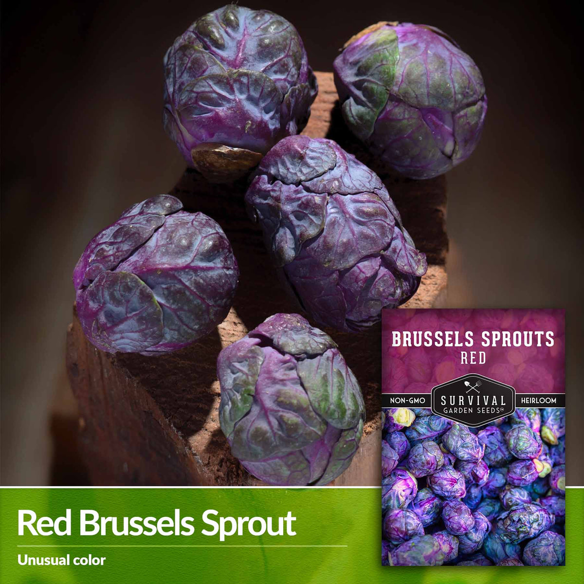 Red Brussels Sprout - unusual color
