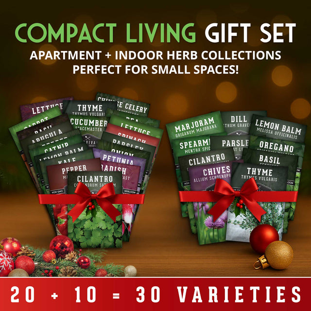 Compact Living gift set with indoor herb collections on a wooden surface with Christmas decorations.