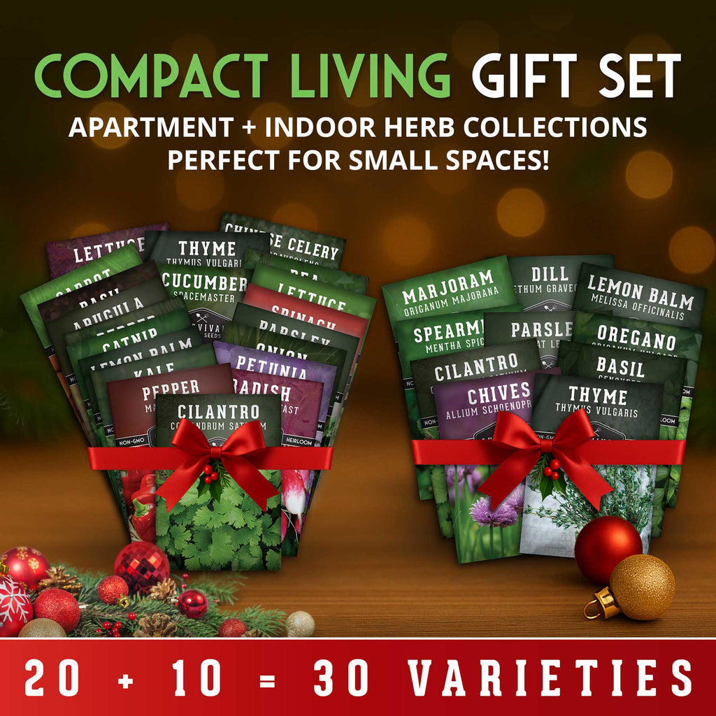 Compact Living gift set with indoor herb collections on a wooden surface with Christmas decorations.