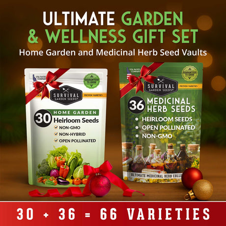 Two seed packets with ribbons on a wooden surface, labeled 'Home Garden' and 'Medicinal Herb', with a festive background.