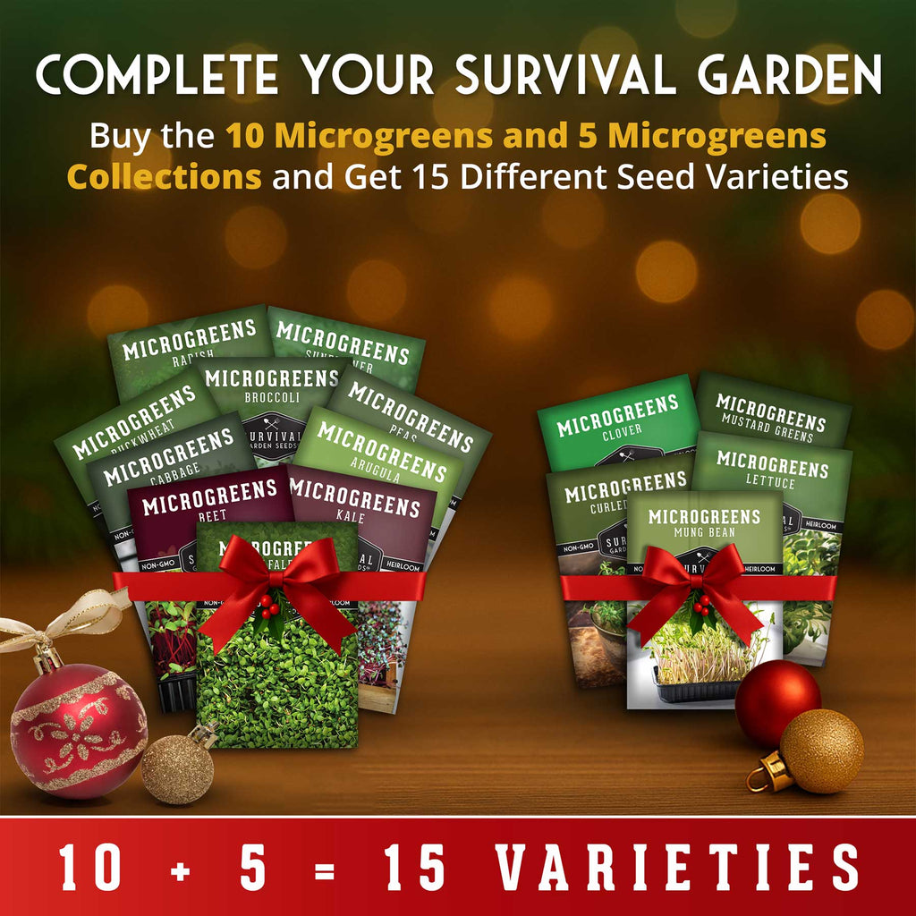 Promotional image of microgreens seed packages with Christmas ornaments on a wooden surface.