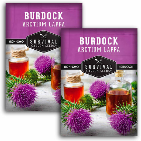 2 packets of Burdock seeds