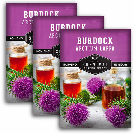 3 packets of Burdock seeds