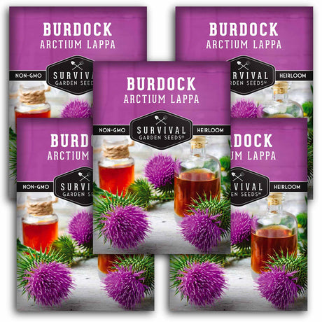 5 packets of Burdock seeds