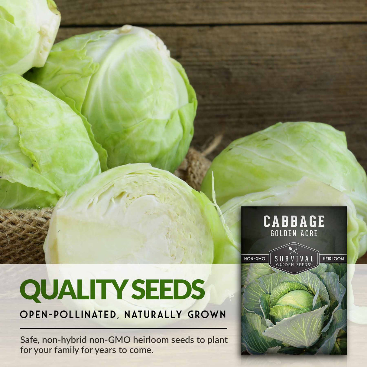 Quality cabbage seeds