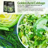 Golden Acre Cabbage