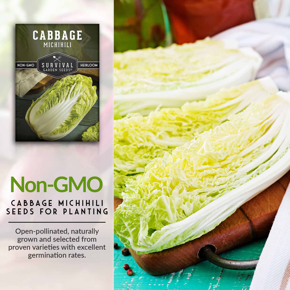 Non-GMO cabbage seeds