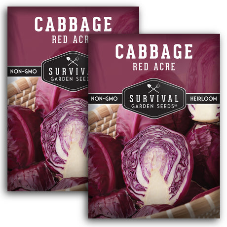 2 packets of Red Acre Cabbage Seeds