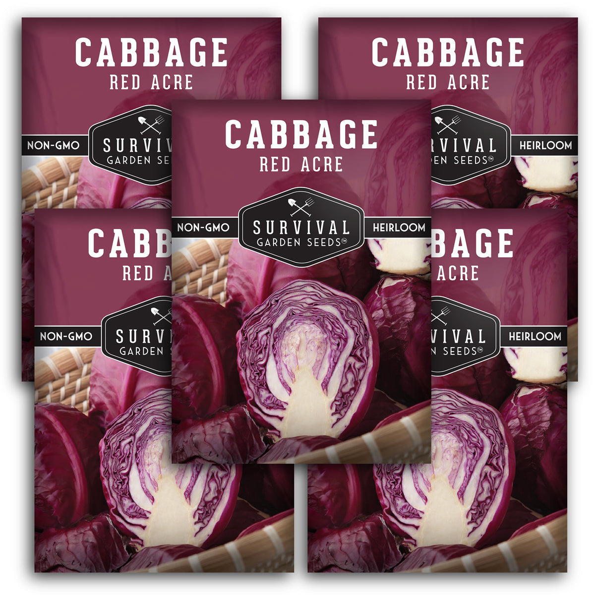 5 packets of Red Acre Cabbage Seeds