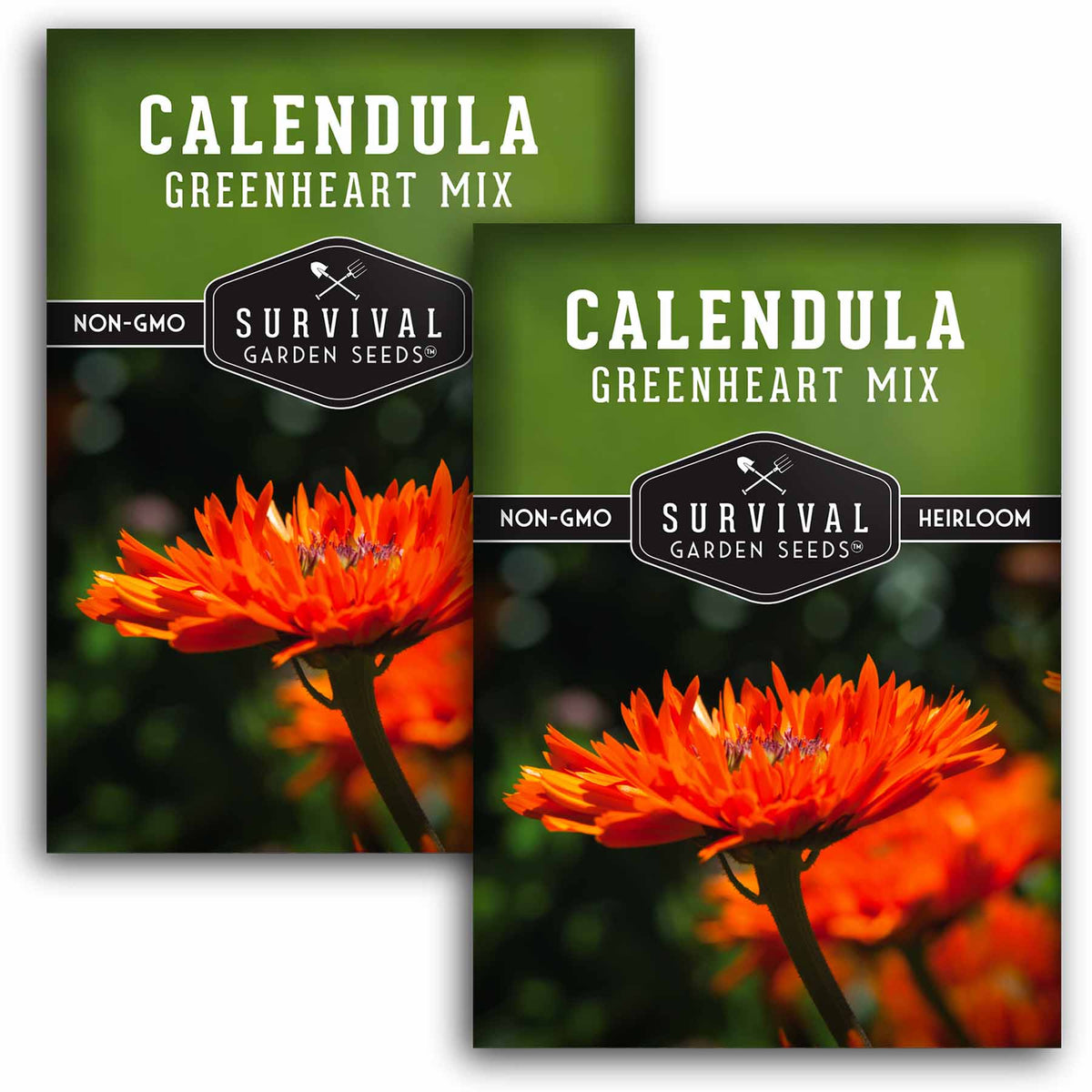 2 packets of Greenheart Mix Calendula seeds