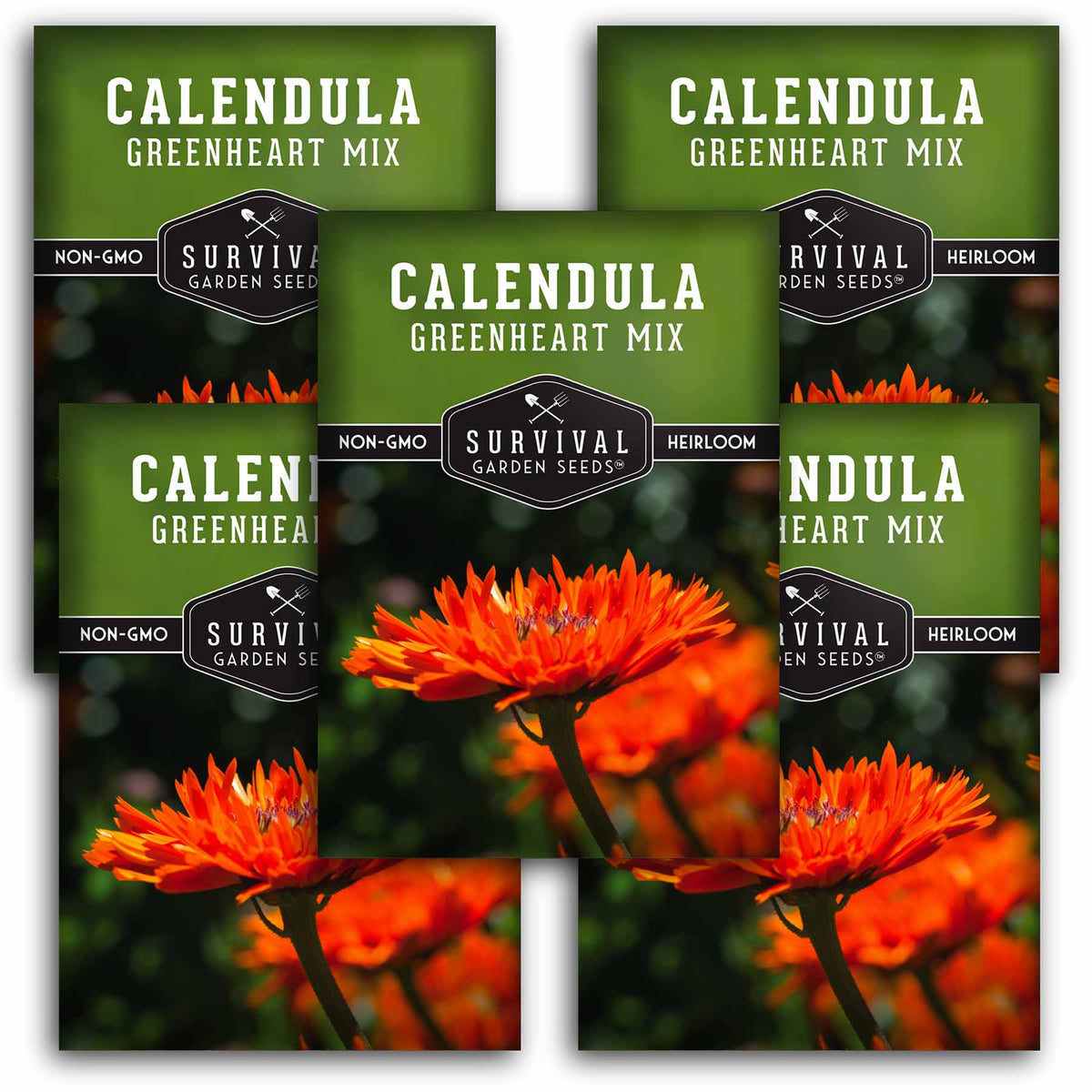 5 packets of Greenheart Mix Calendula seeds