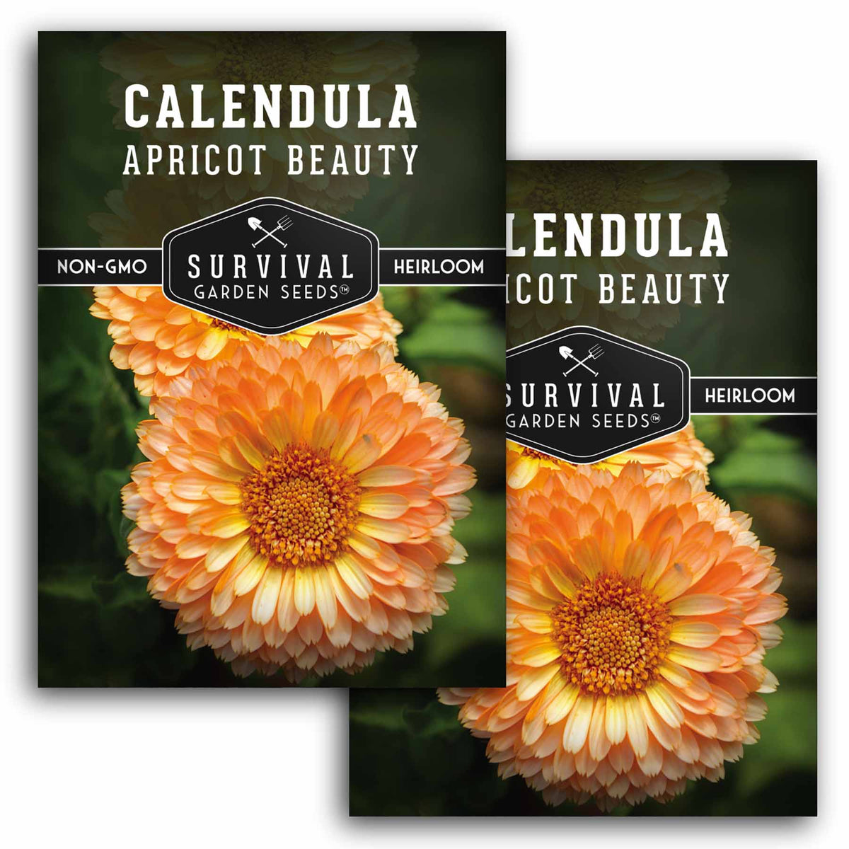 2 packets of Apricot Beauty Calendula seeds