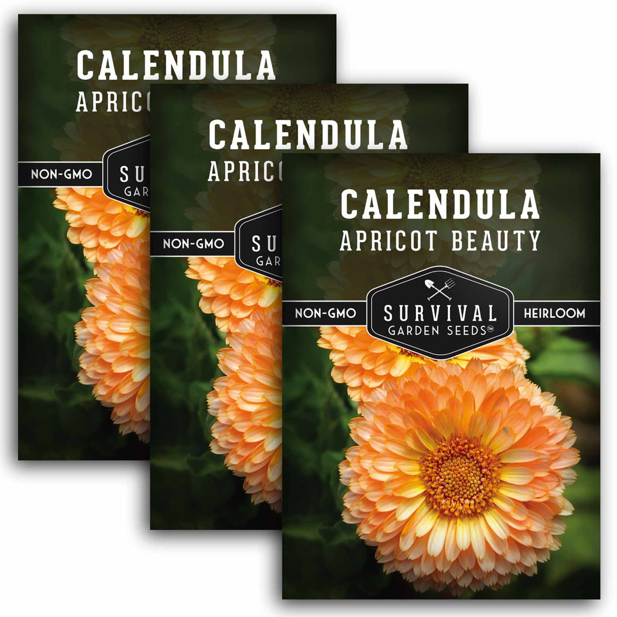 3 packets of Apricot Beauty Calendula seed