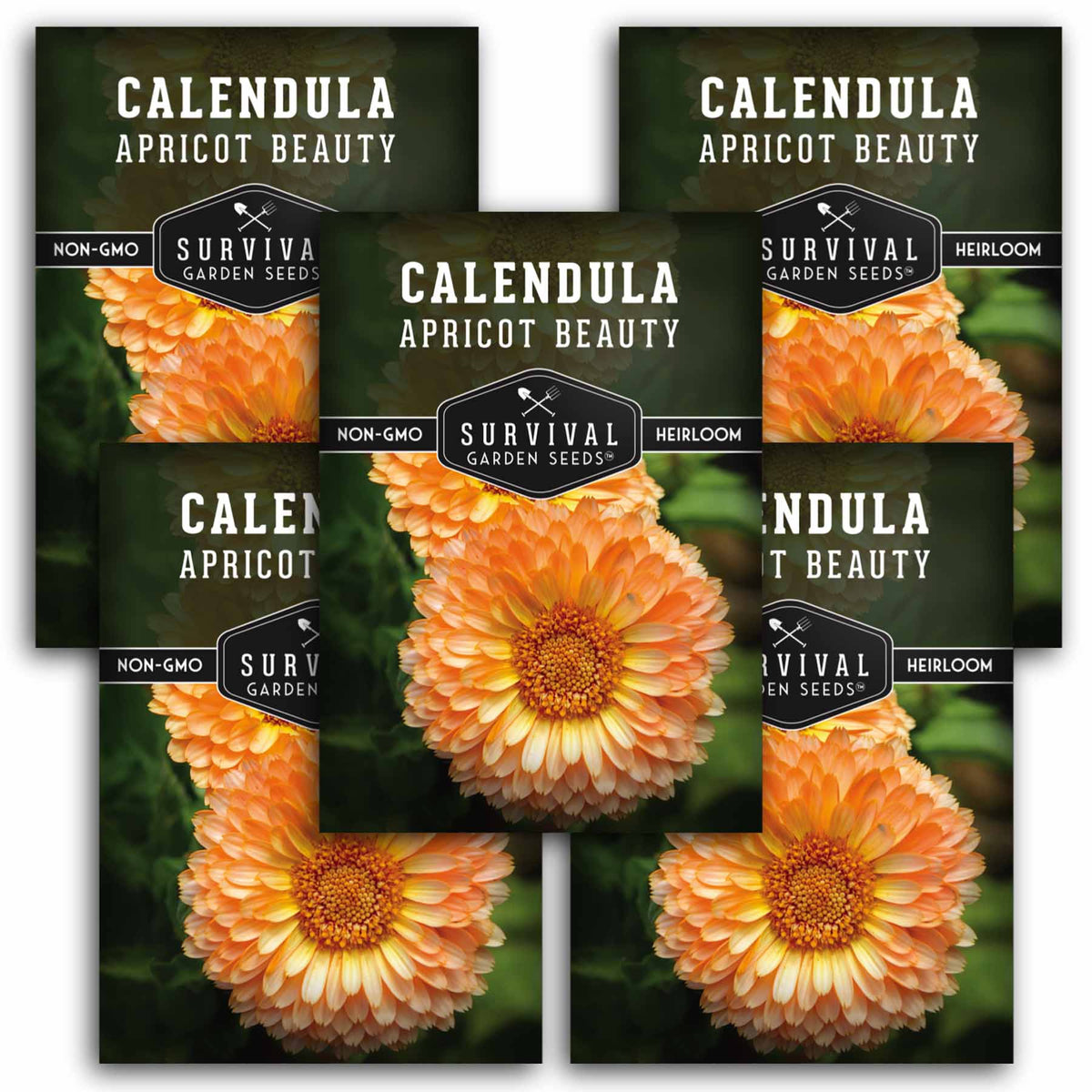 5 packets of Apricot Beauty Calendula seed