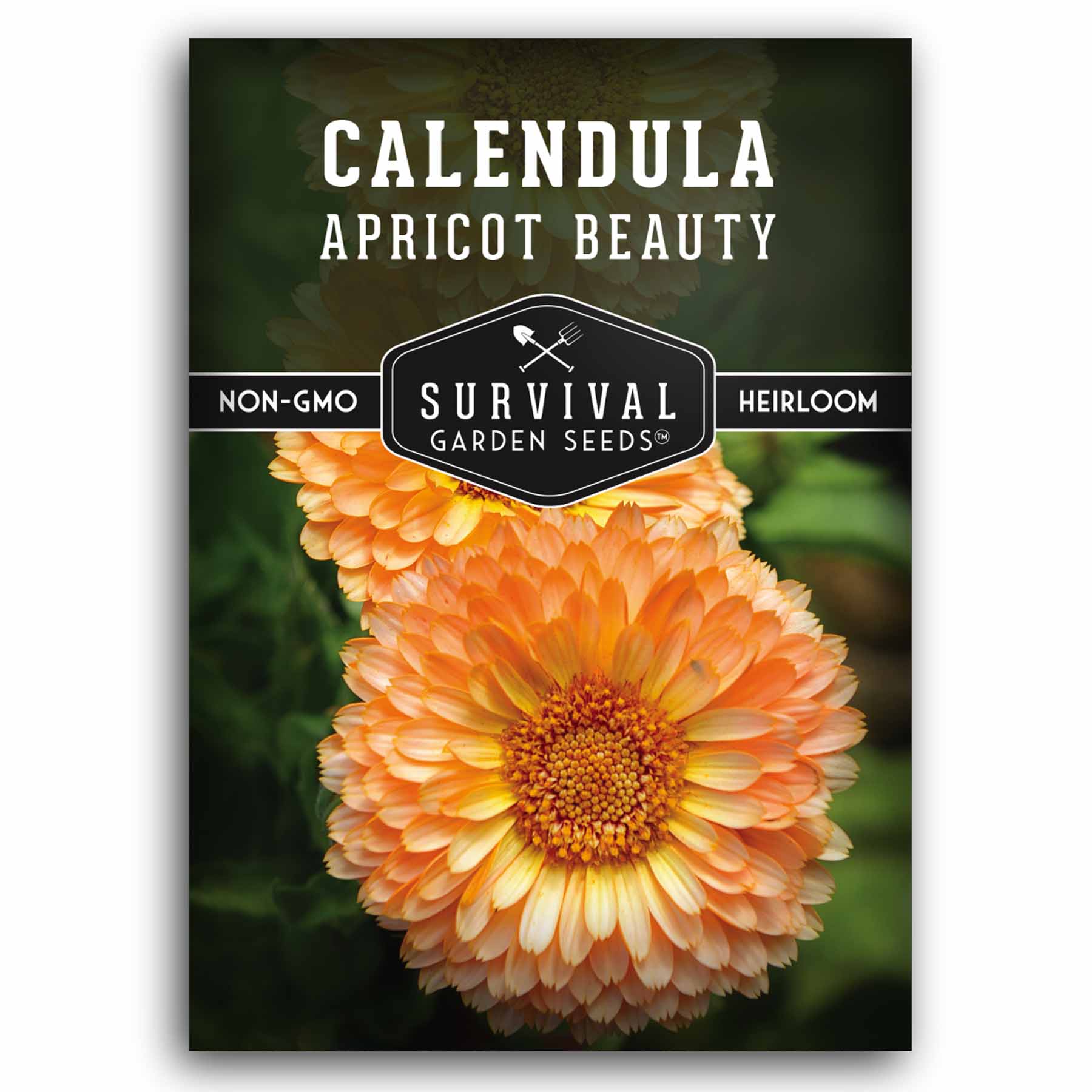 1 packet of Apricot Beauty Calendula seeds
