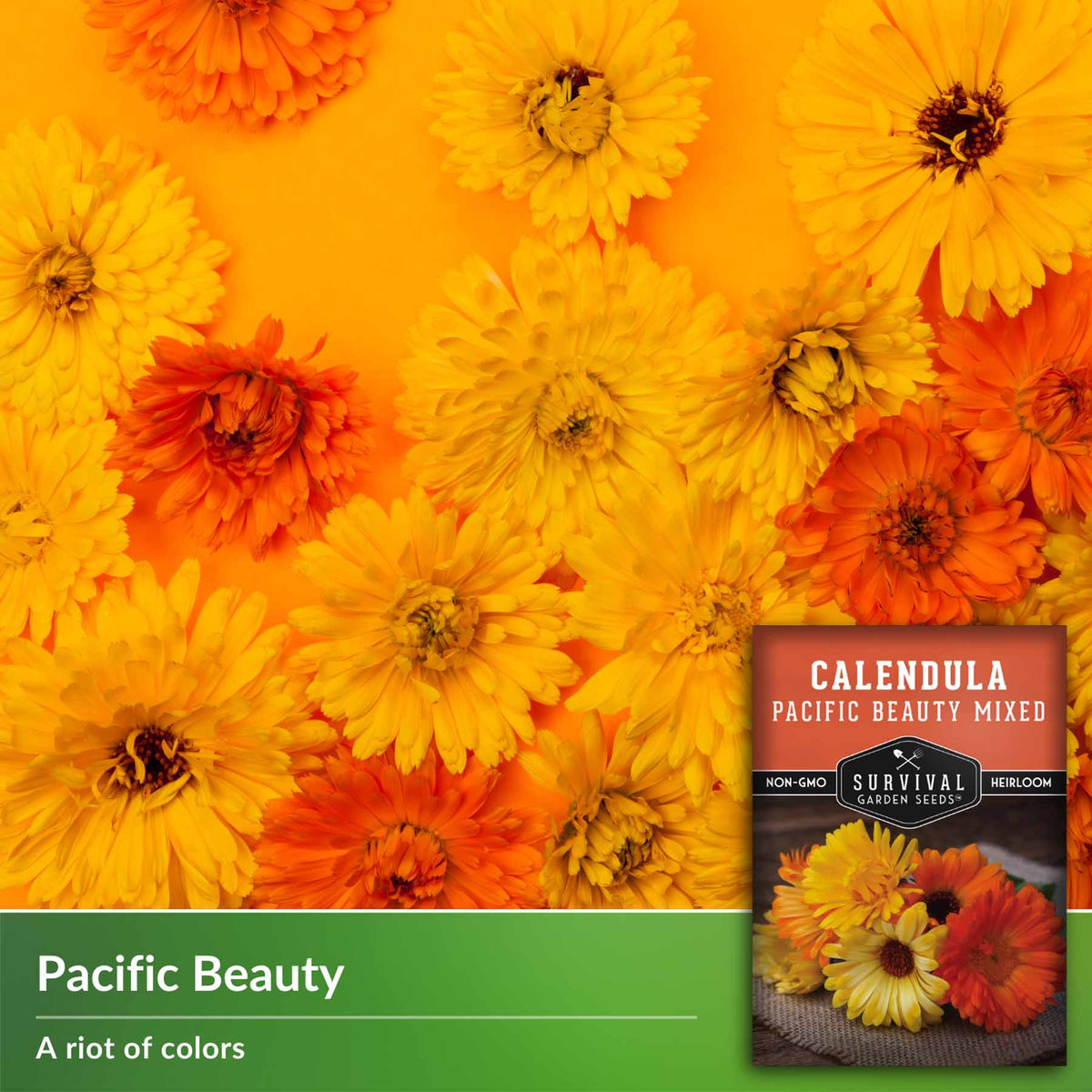 Pacific Beauty calendula