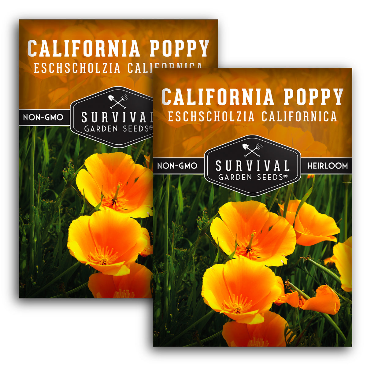 2 packets of California Poppy Seeds