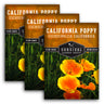 3 packets of California Poppy Seeds