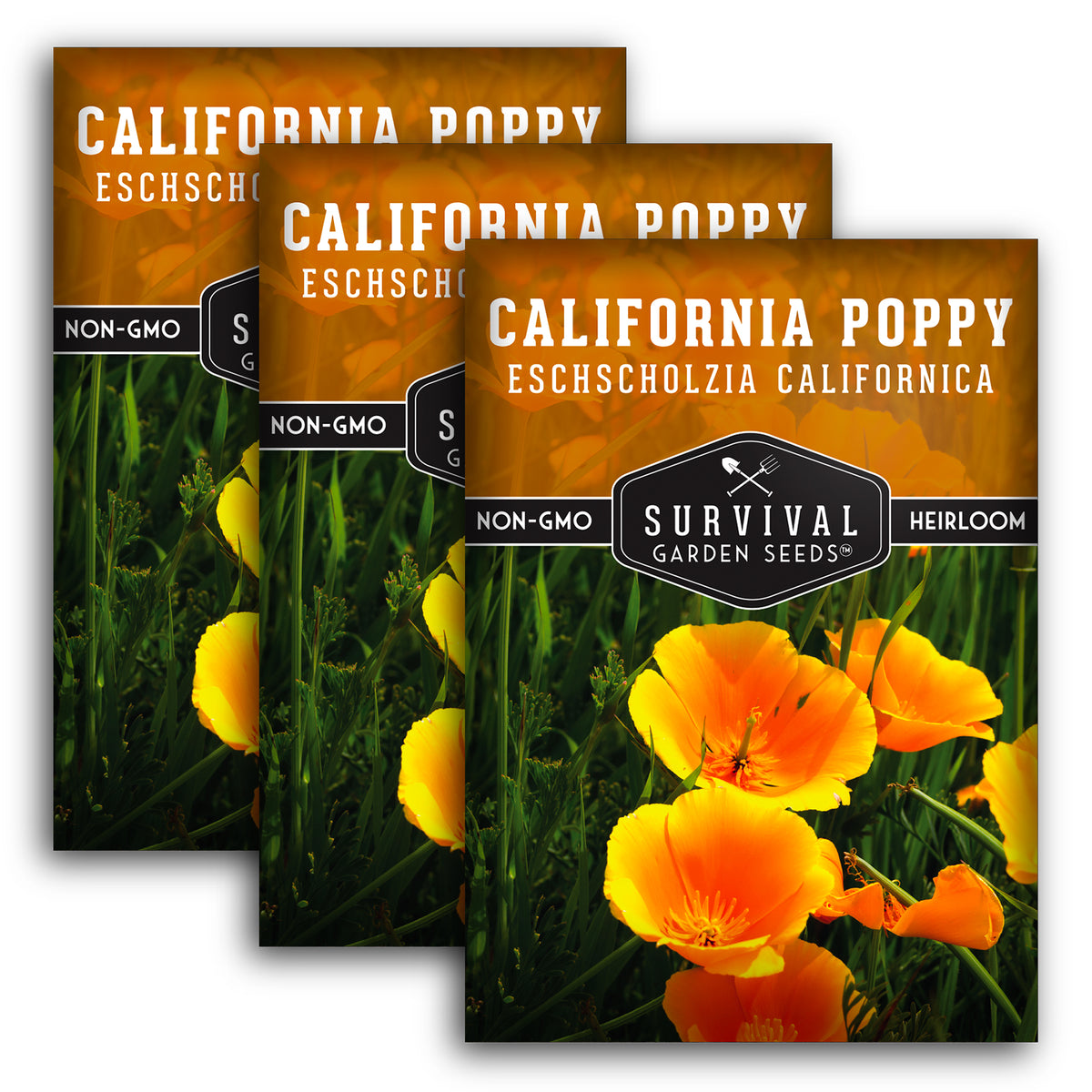3 packets of California Poppy Seeds