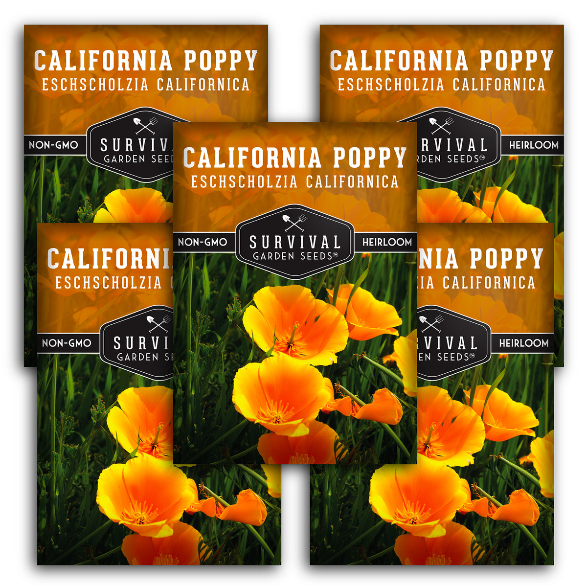 5 packets of California Poppy Seeds