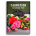 1 packet of Chabaud Mix Carnation flower seeds