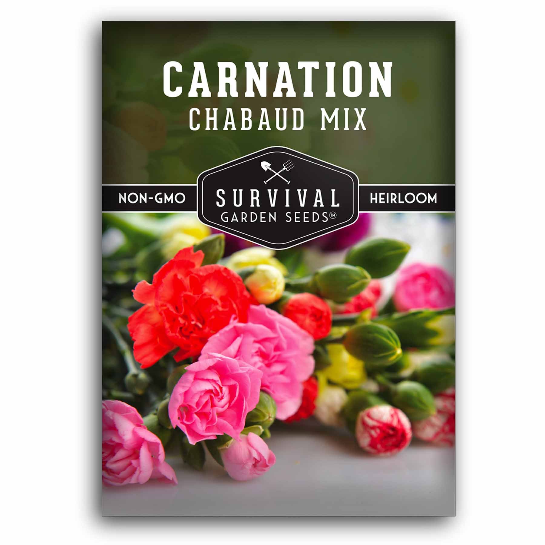 carnation seeds from flower Chabaud Mix Carnation Flower Seeds – SurvivalGardenSeeds