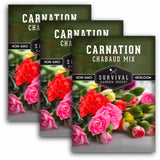 3 packets of Chabaud Mix Carnation flower seeds