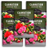 5 packets of Chabaud Mix Carnation flower seeds