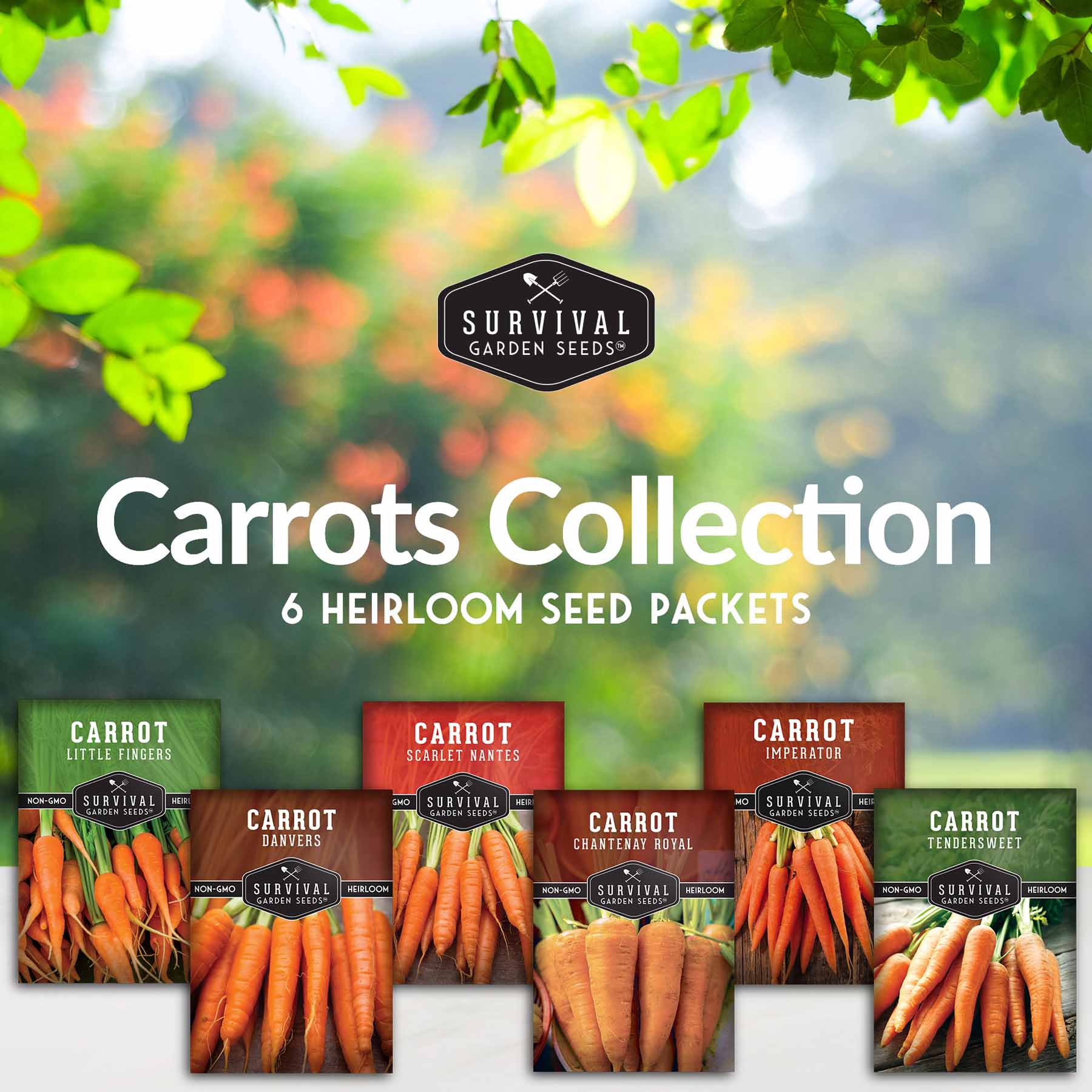 Carrot Seed Collection – 6 Heirloom Varieties – SurvivalGardenSeeds